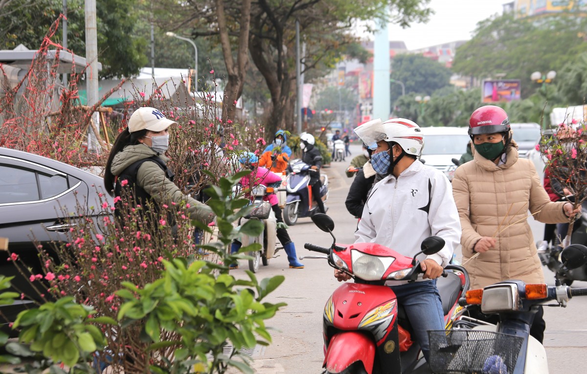 Chợ hoa Tết rực rỡ sắc xuân