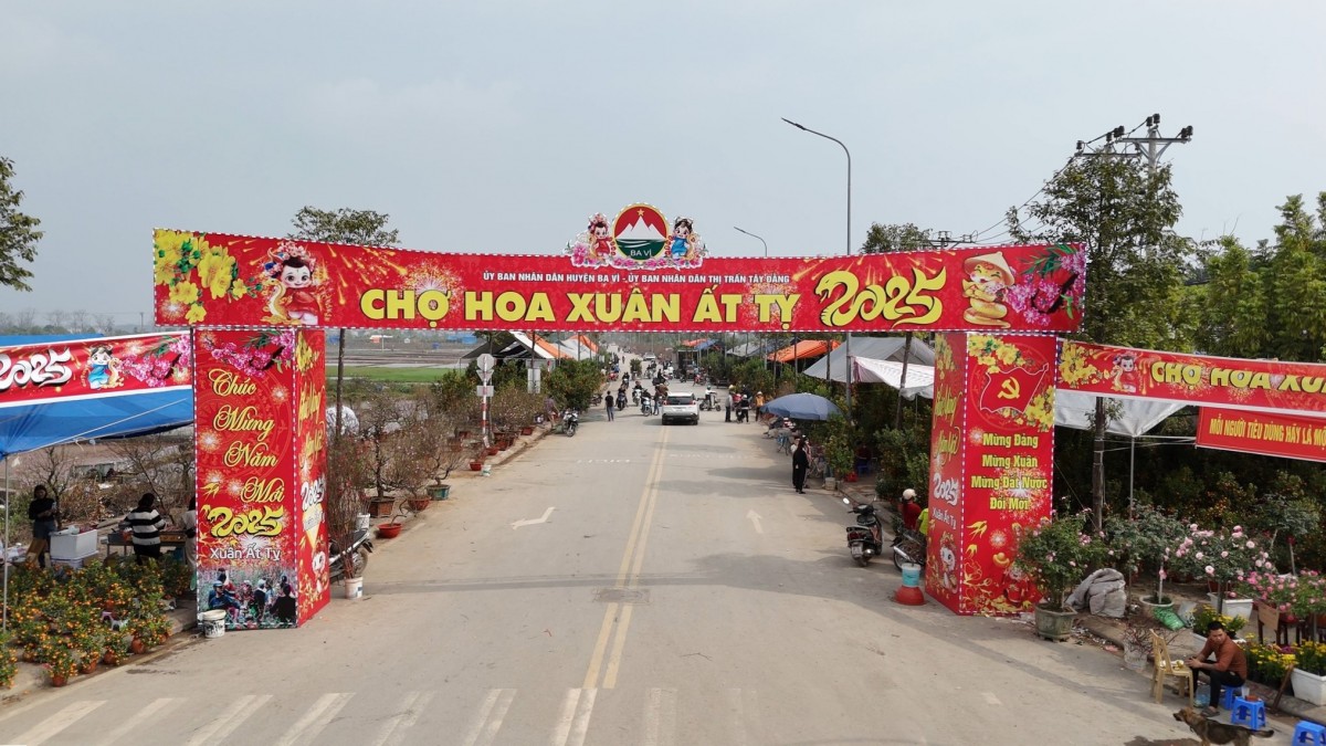 Chợ hoa Tết rực rỡ sắc xuân