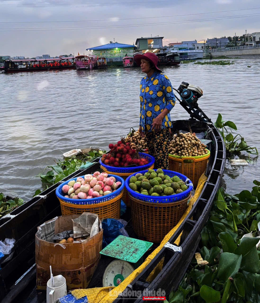 Du Xuân miền Tây, trải nghiệm thú vị những ngày đầu năm