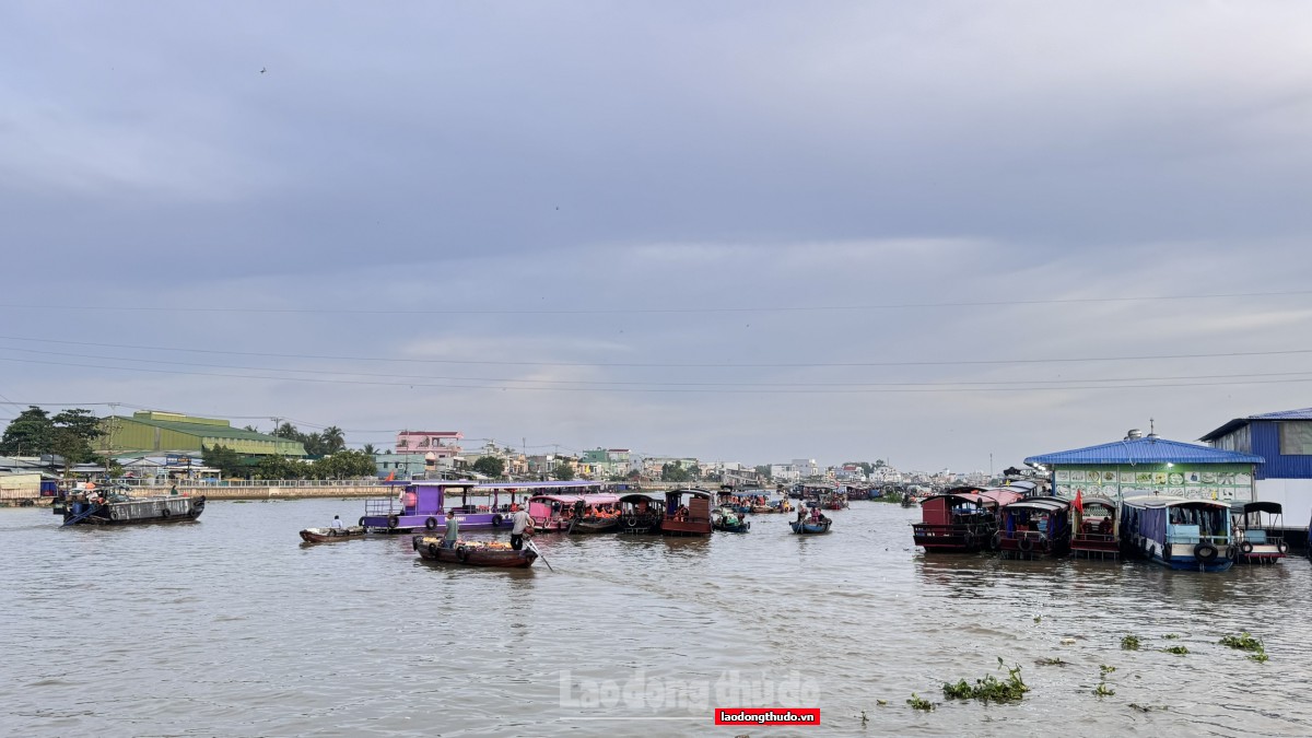 Du Xuân miền Tây, trải nghiệm thú vị những ngày đầu năm