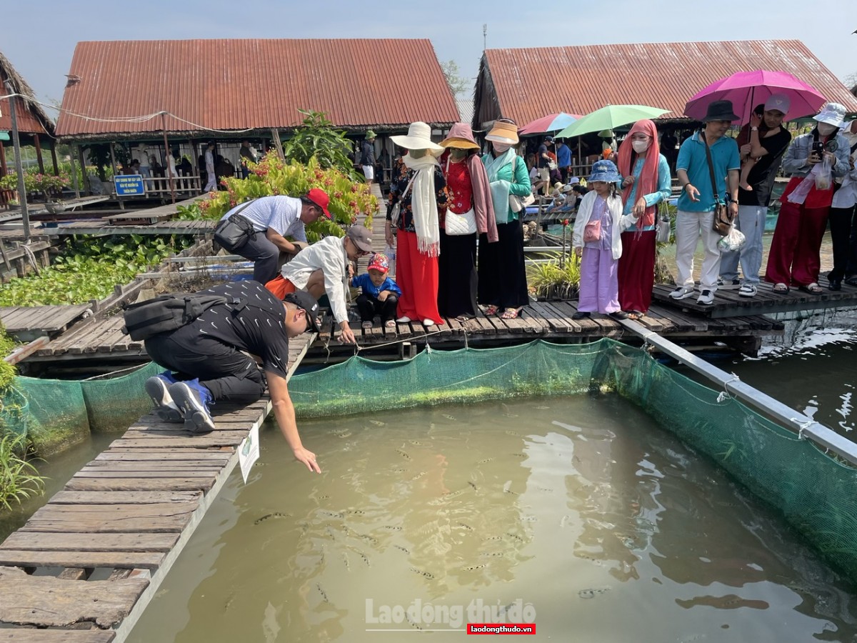 Cồn Sơn - điểm nhấn ấn tượng trong bản đồ du lịch Cần Thơ