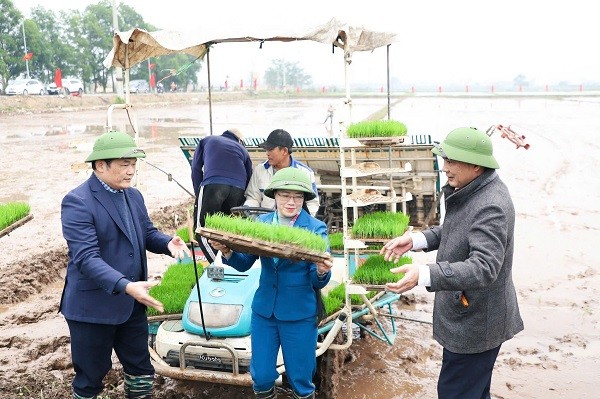 Đảm bảo tiến độ gieo cấy vụ xuân