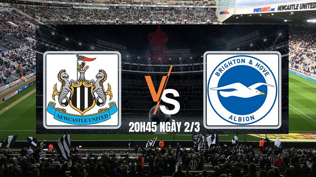 Newcastle vs Brighton, vòng 5 cúp FA 2024/25: Tận dụng sân nhà, tạo ra khác biệt