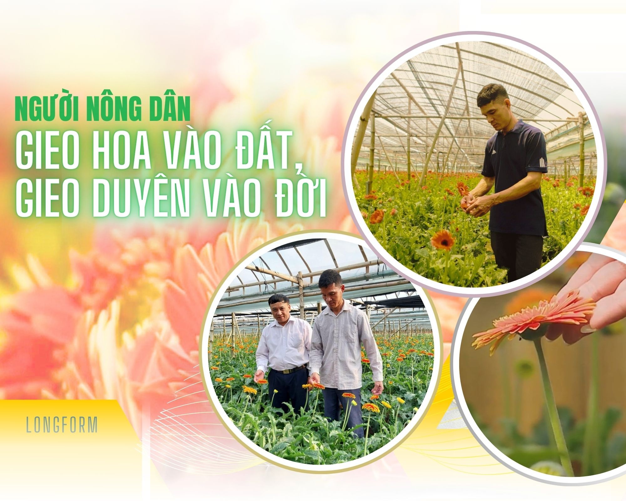 Người gieo hoa vào đất, gieo duyên vào đời