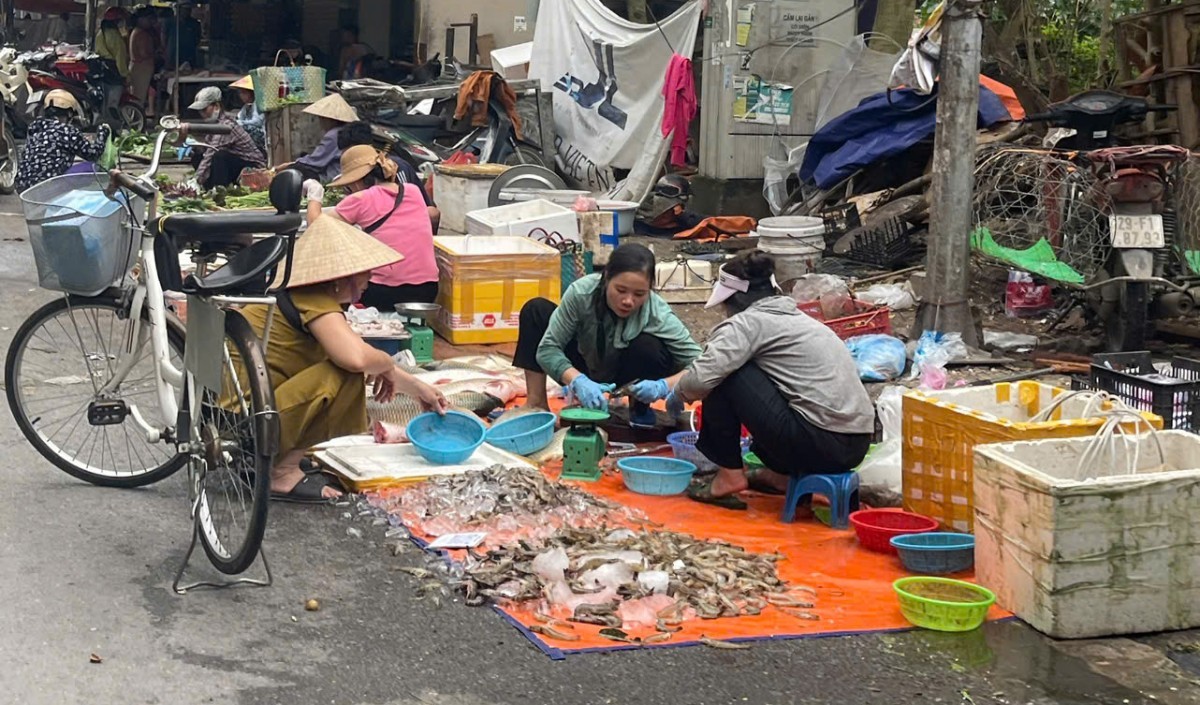 Xoá chợ cóc, chợ tạm trên địa bàn Hà Nội - Kỳ 1: Khi đường phố cũng là chợ