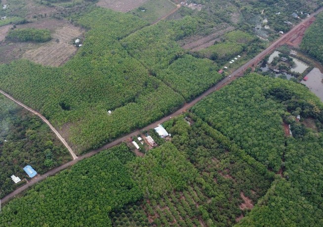 Đề xuất hơn 22.600 tỷ đồng làm cầu đường kết nối cầu Đồng Xoài đến vành đai 4 Đề xuất hơn 22.600 tỷ đồng làm cầu đường kết nối cầu Đồng Xoài đến vành đai 4