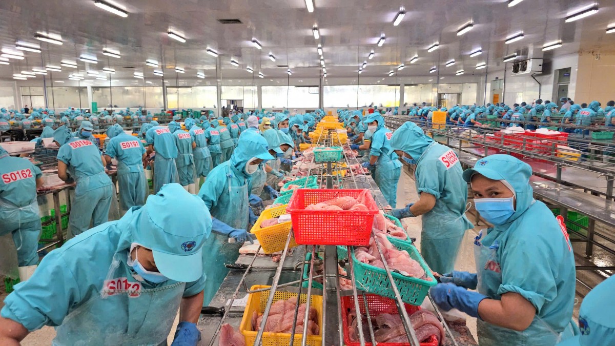 Tìm giải pháp thúc đẩy xuất khẩu nông lâm thủy sản trước thuế đối ứng của Mỹ Tìm giải pháp thúc đẩy xuất khẩu nông lâm thủy sản trước thuế đối ứng của Mỹ