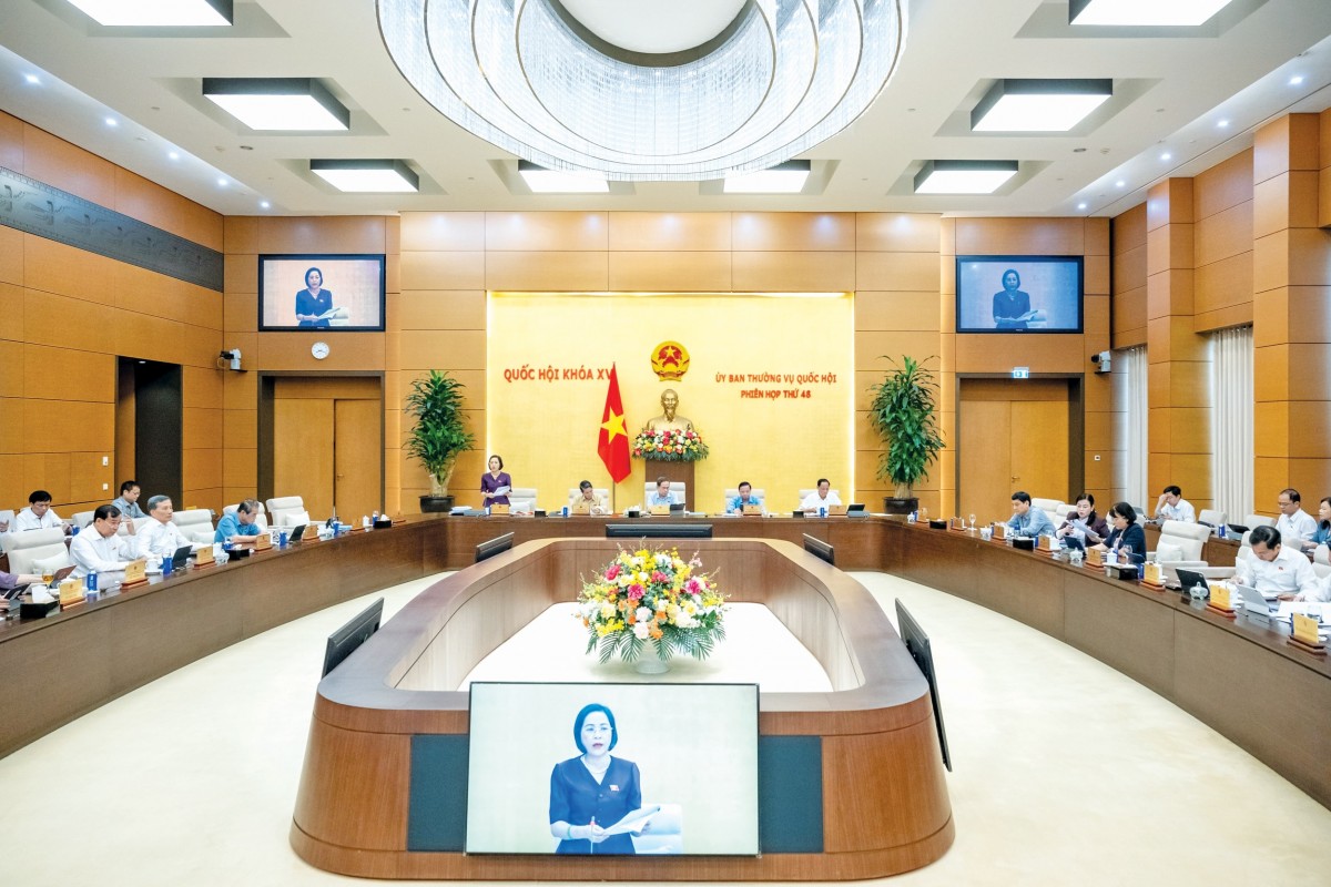 Kiểm định chặt chẽ chất lượng đào tạo ngành sư phạm, luật và y dược