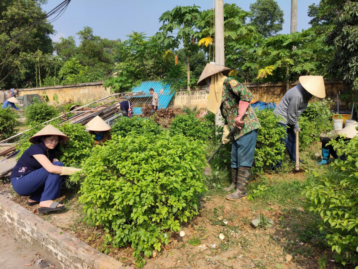 Đoài Phương ra quân lập lại trật tự đô thị Đoài Phương ra quân lập lại trật tự đô thị