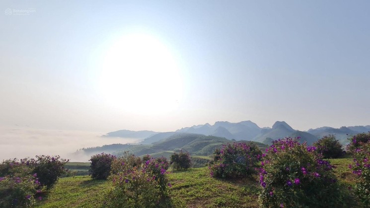 Suối Bon: Điểm hẹn “săn mây” và “sống ảo” lý tưởng Suối Bon: Điểm hẹn “săn mây” và “sống ảo” lý tưởng