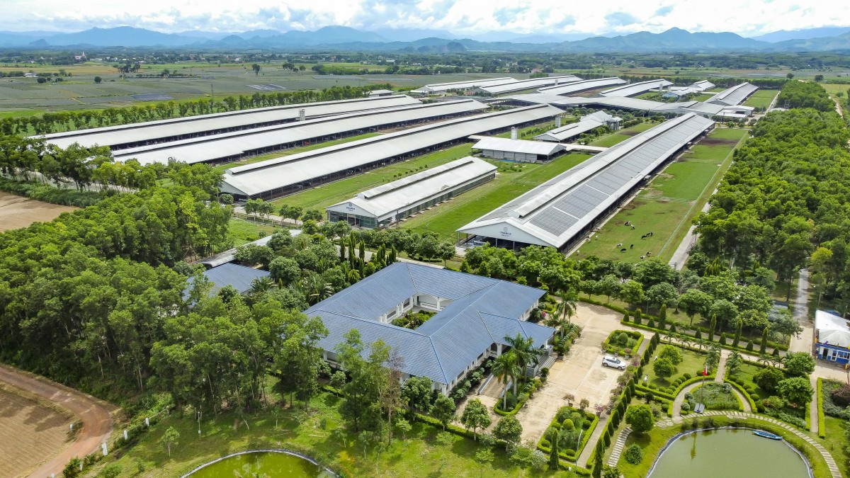 Tăng 4 bậc trong bảng xếp hạng thực phẩm toàn cầu: Vinamilk khẳng định sức mạnh thương hiệu Việt