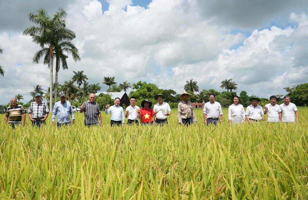 Phim tài liệu VTV đặc biệt “Hạt giống hạnh phúc” sẽ lên sóng tối 2/9