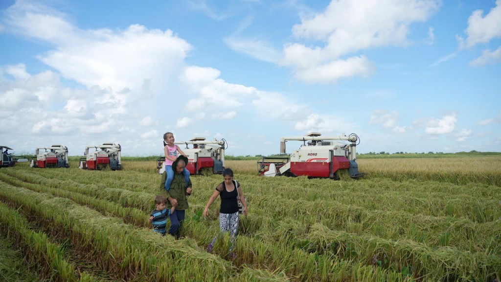 Phim tài liệu VTV đặc biệt “Hạt giống hạnh phúc” sẽ lên sóng tối 2/9