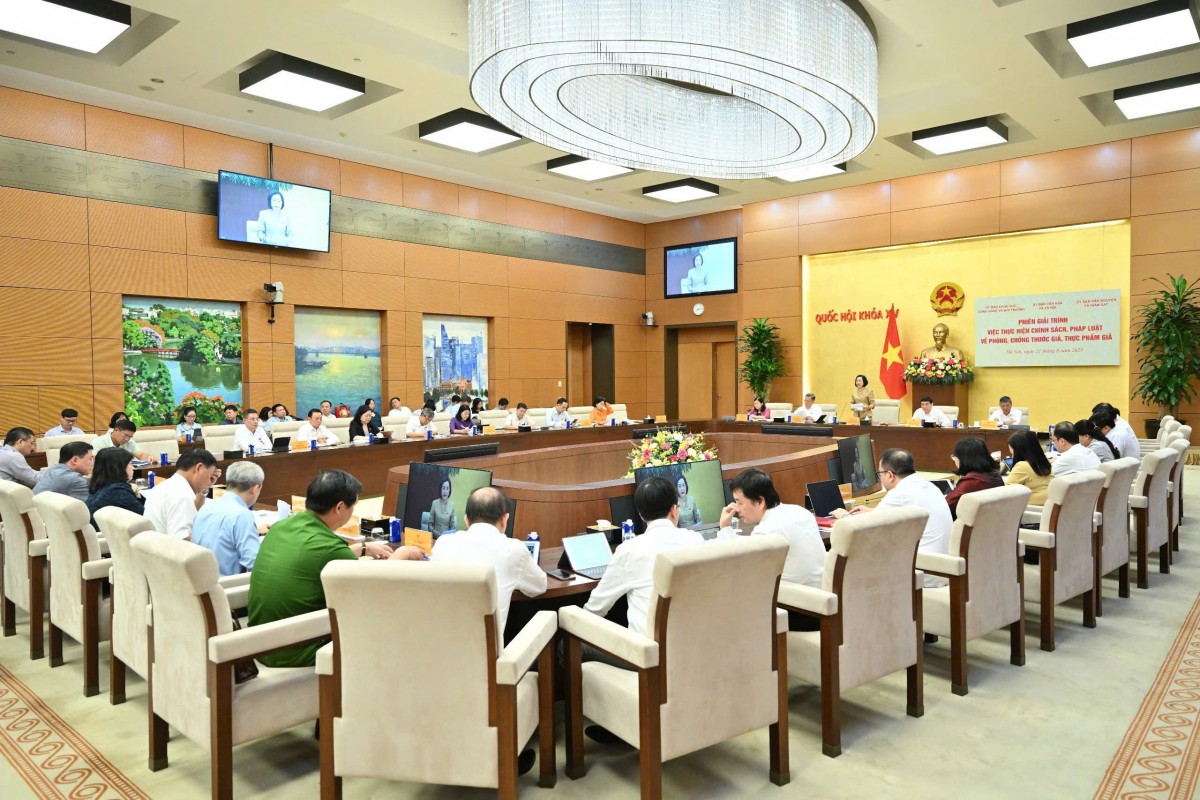 Giải trình việc thực hiện chính sách, pháp luật về phòng, chống thuốc, thực phẩm giả