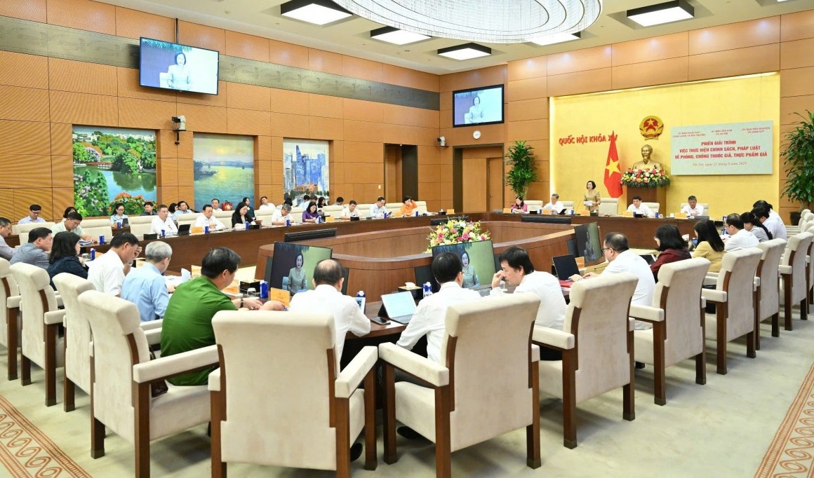 Giải trình việc thực hiện chính sách, pháp luật về phòng, chống thuốc, thực phẩm giả