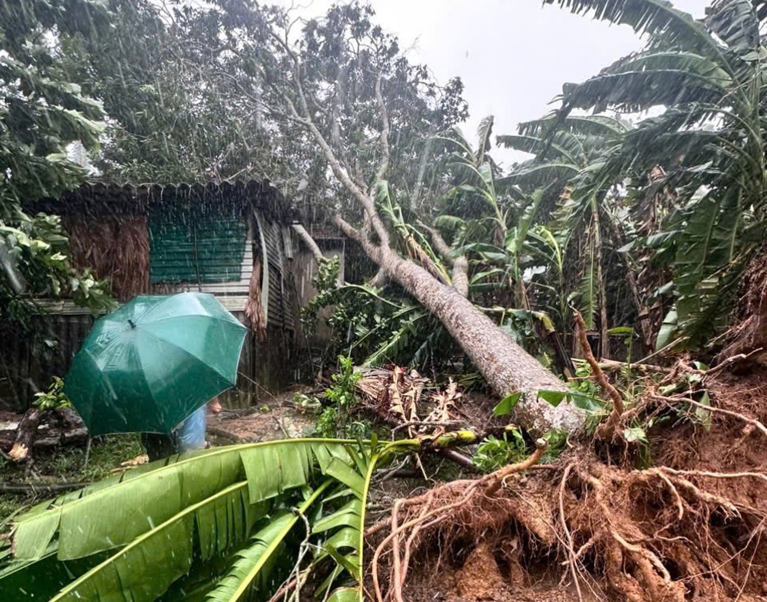 Mưa lớn, gió to, nhiều nơi ở Thanh Hóa - Nghệ An - Hà Tĩnh đã thiệt hại tài sản