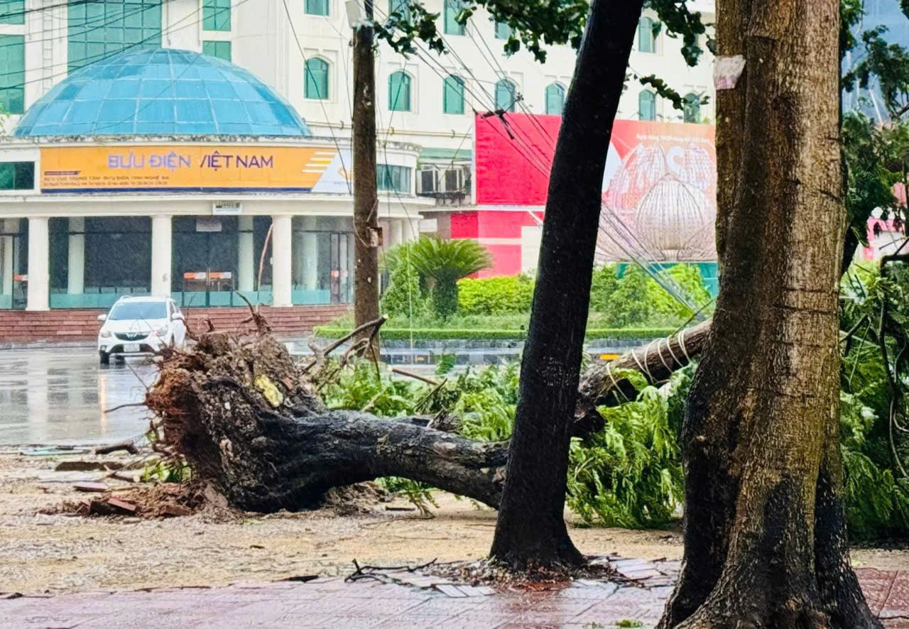 Mưa lớn, gió to, nhiều nơi ở Thanh Hóa - Nghệ An - Hà Tĩnh đã thiệt hại tài sản