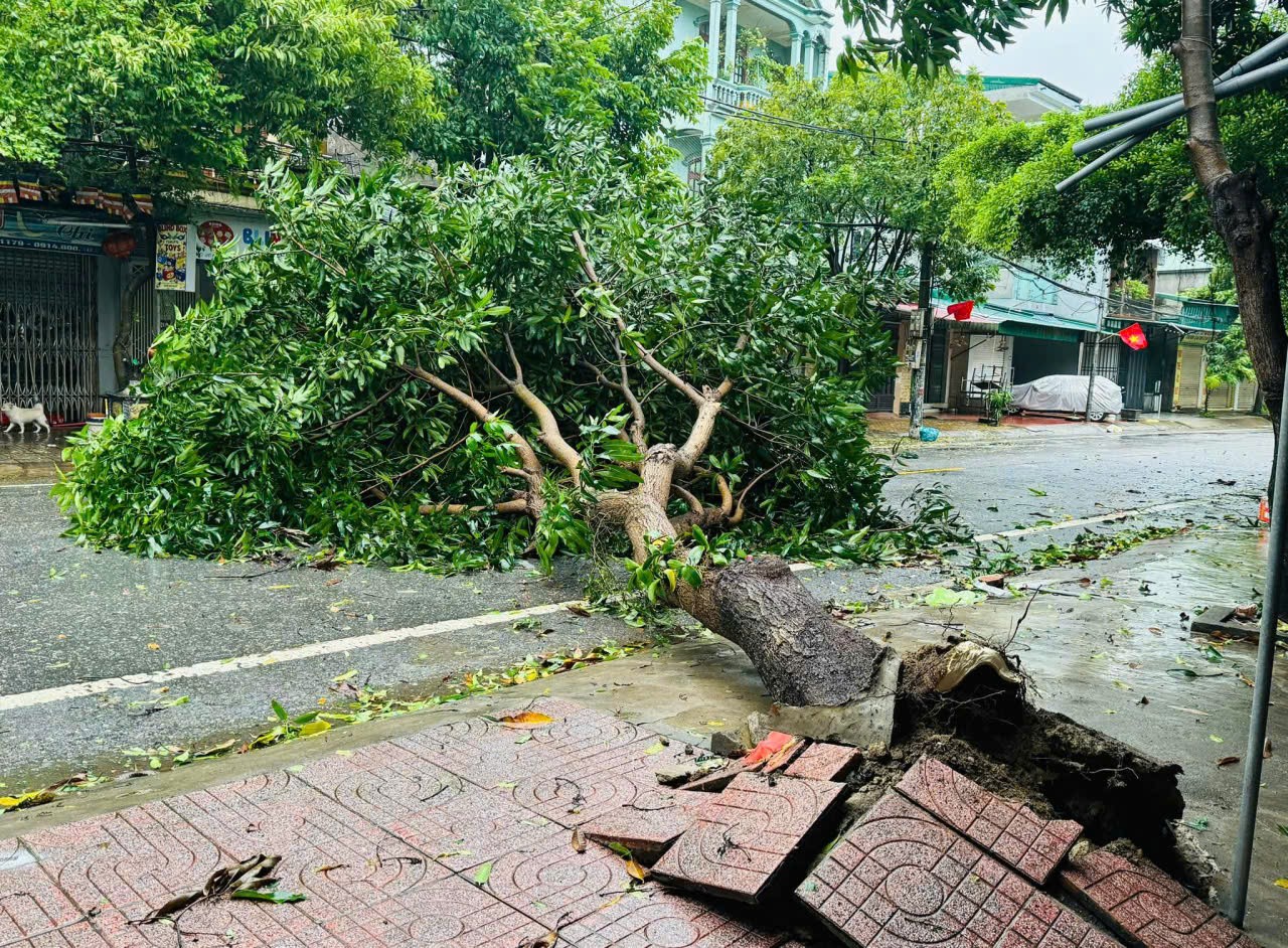 Mưa lớn, gió to, nhiều nơi ở Thanh Hóa - Nghệ An - Hà Tĩnh đã thiệt hại tài sản