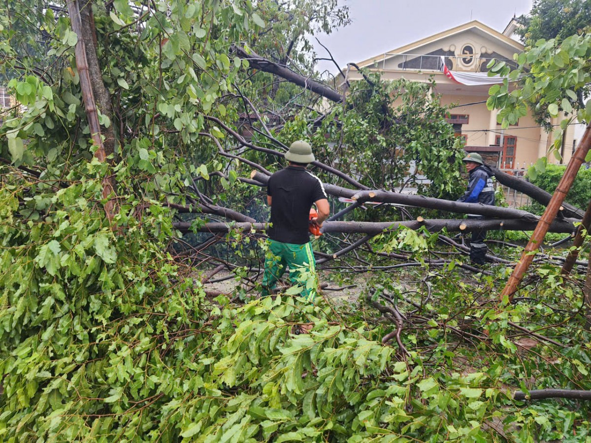 Nghệ An tập trung khắc phục hậu quả bão số 5