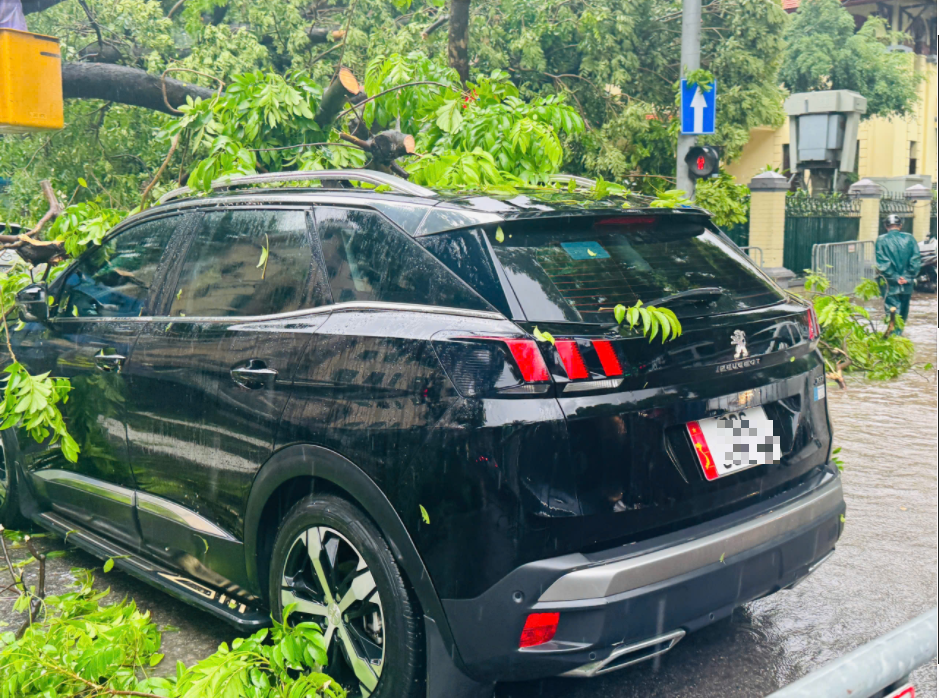 Cây cổ thụ bật gốc, đè trúng hai ô tô tại ngã tư Trần Phú - Chu Văn An