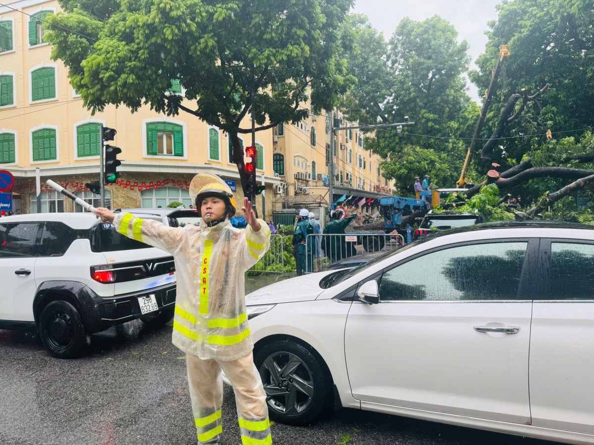 Cây cổ thụ bật gốc, đè trúng hai ô tô tại ngã tư Trần Phú - Chu Văn An