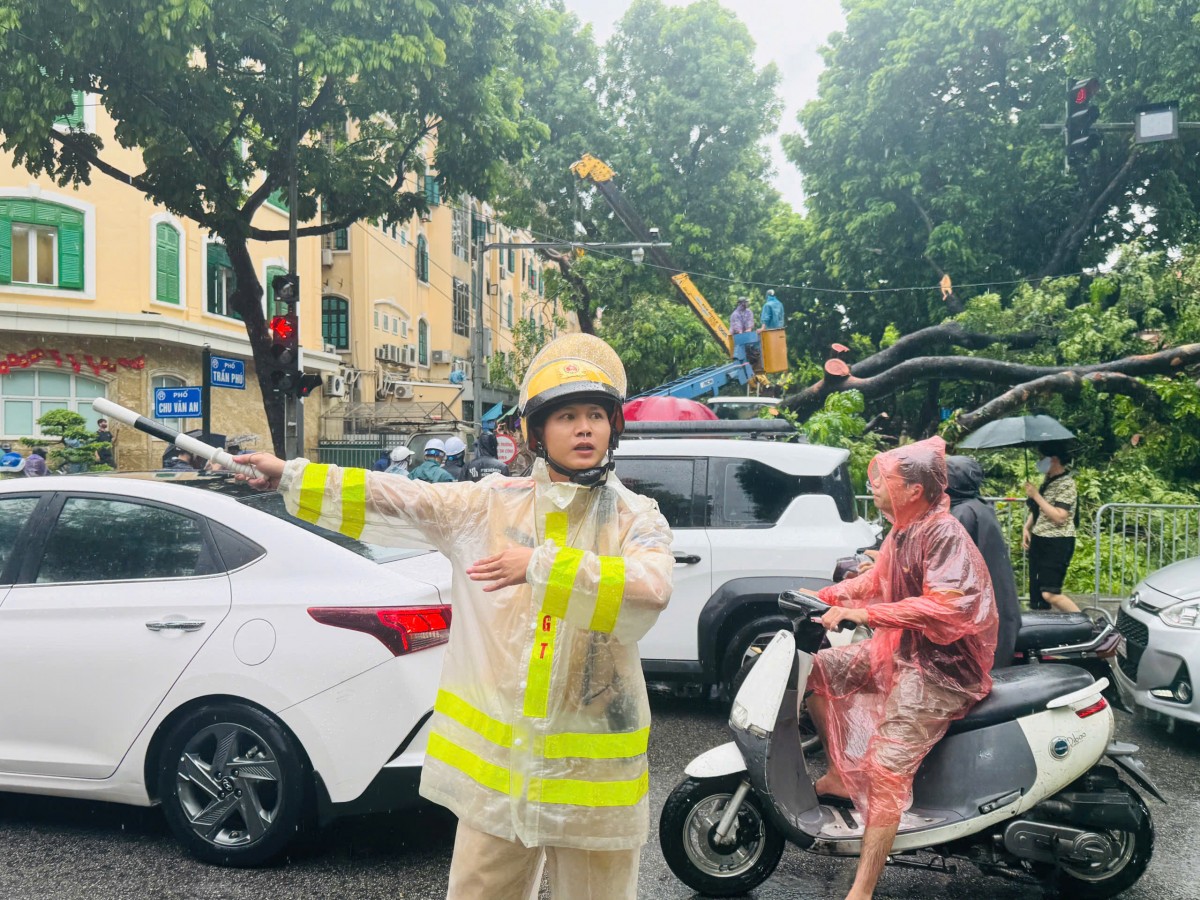 Cây cổ thụ bật gốc, đè trúng hai ô tô tại ngã tư Trần Phú - Chu Văn An