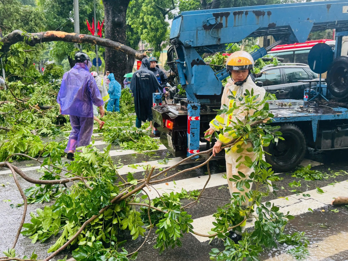 Cây cổ thụ bật gốc, đè trúng hai ô tô tại ngã tư Trần Phú - Chu Văn An