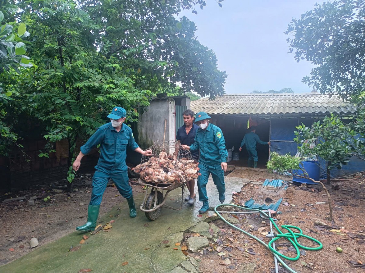 Ngoại thành Hà Nội căng mình ứng phó mưa lớn do hoàn lưu bão số 5