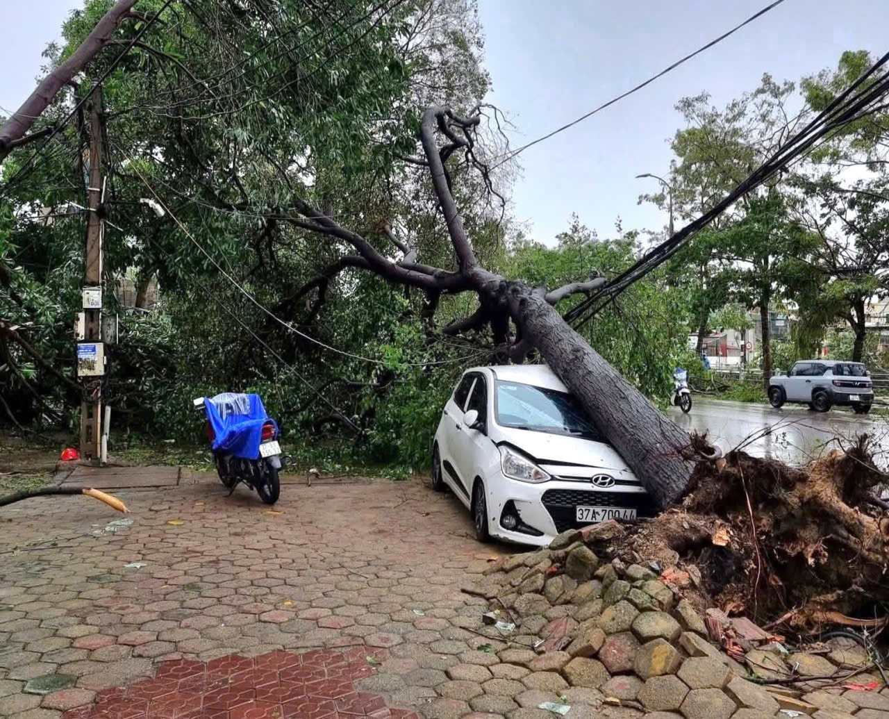 Nghệ An thiệt hại khoảng 1.393 tỷ đồng do bão số 5