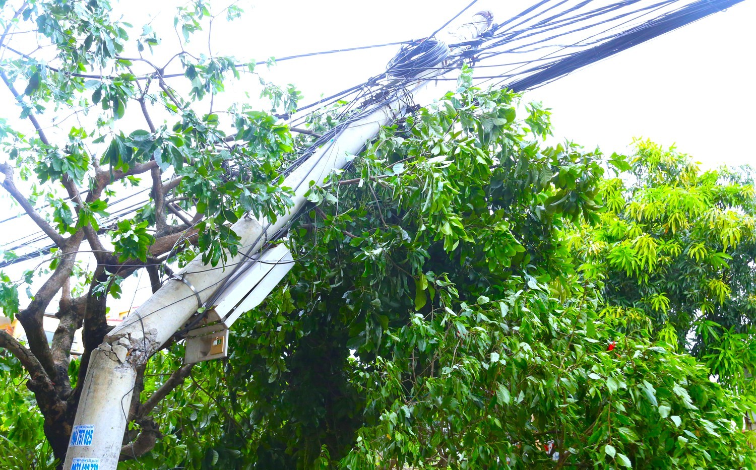 Xúc động hình ảnh công nhân các tỉnh, thành hỗ trợ Nghệ An khắc phục bão số 5