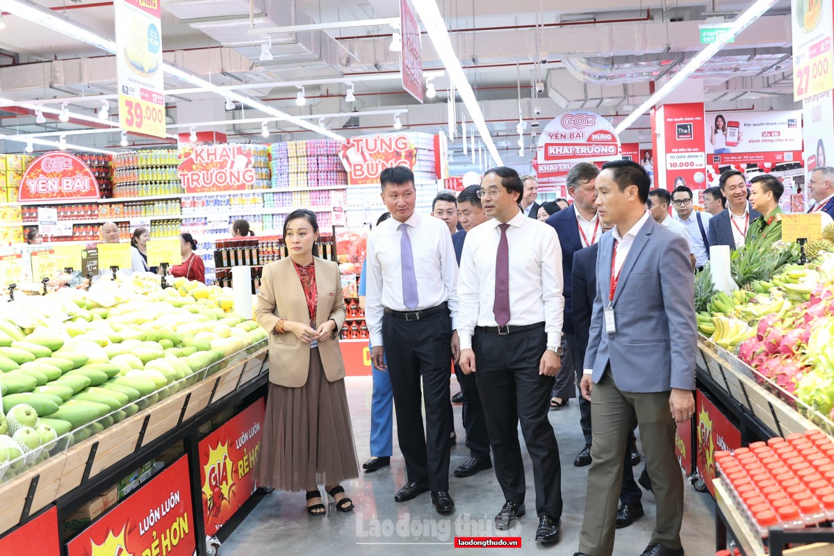 Khai trương GO! Yên Bái - mở rộng cơ hội hợp tác, kinh doanh cho các doanh nghiệp nhỏ và vừa tại Lào Cai