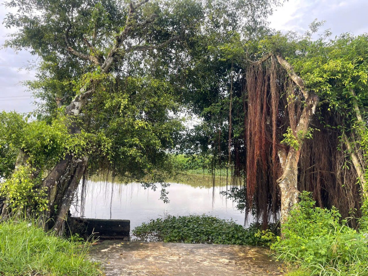 Lòng quê Lòng quê