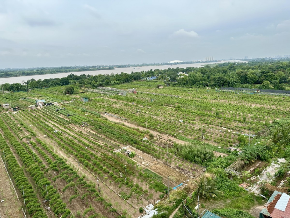 Sông Hồng trục trung tâm, động lực phát triển chiến lược mới của Thủ đô Sông Hồng trục trung tâm, động lực phát triển chiến lược mới của Thủ đô