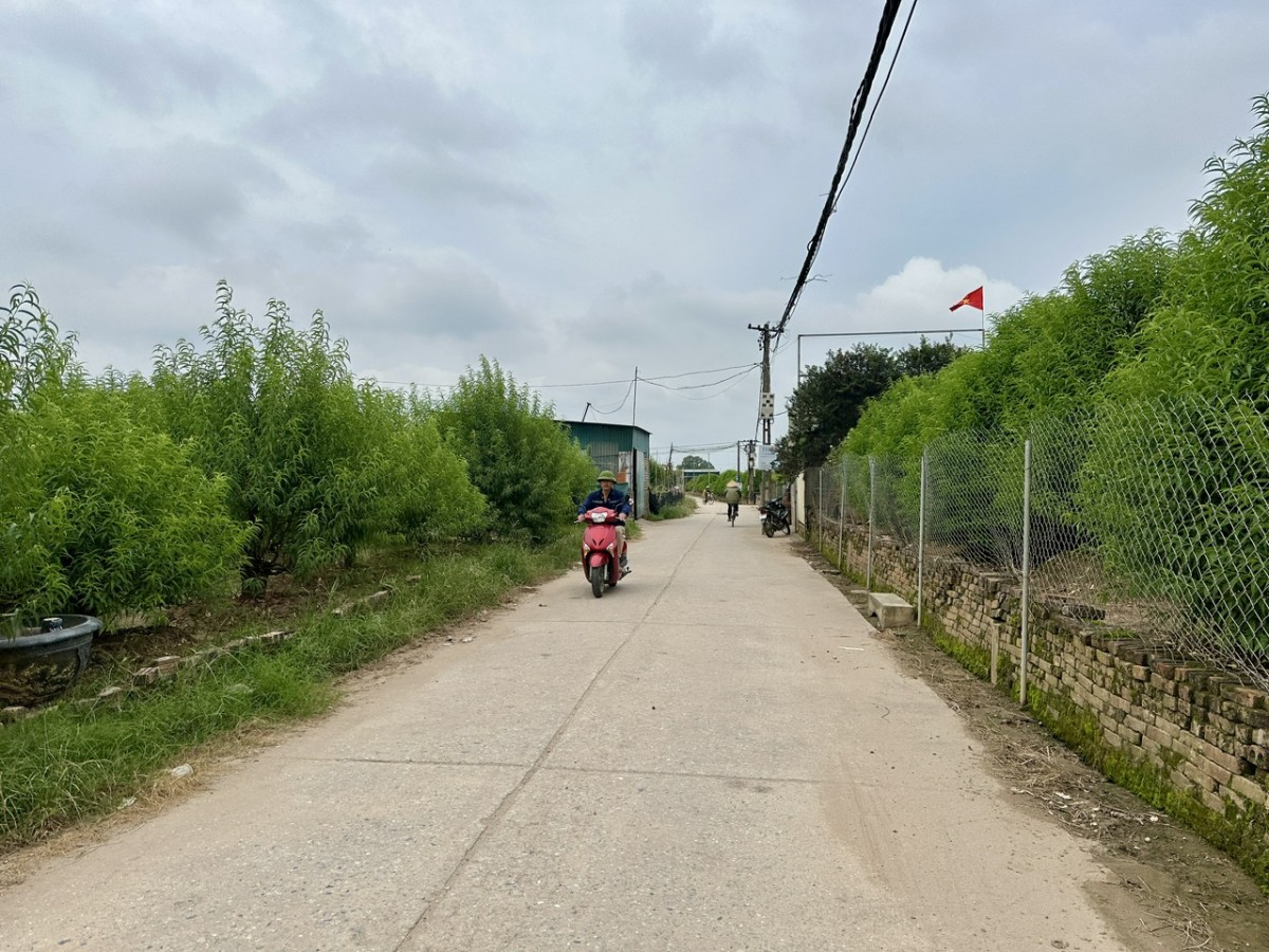 Khai thác hiệu quả đất bãi ven sông: Từ nghị quyết đến thực tiễn địa phương Khai thác hiệu quả đất bãi ven sông: Từ nghị quyết đến thực tiễn địa phương