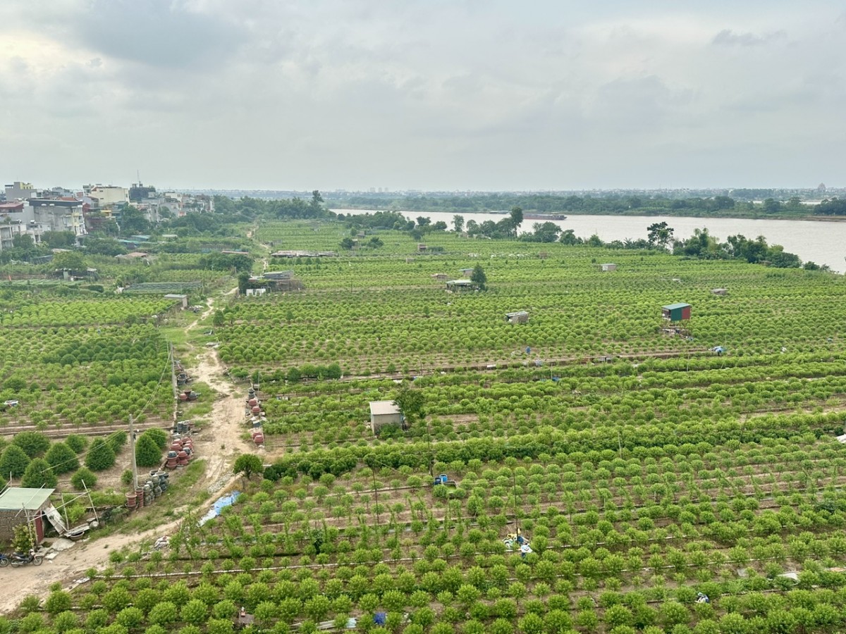 Khai thác hiệu quả đất bãi ven sông: Từ nghị quyết đến thực tiễn địa phương Khai thác hiệu quả đất bãi ven sông: Từ nghị quyết đến thực tiễn địa phương