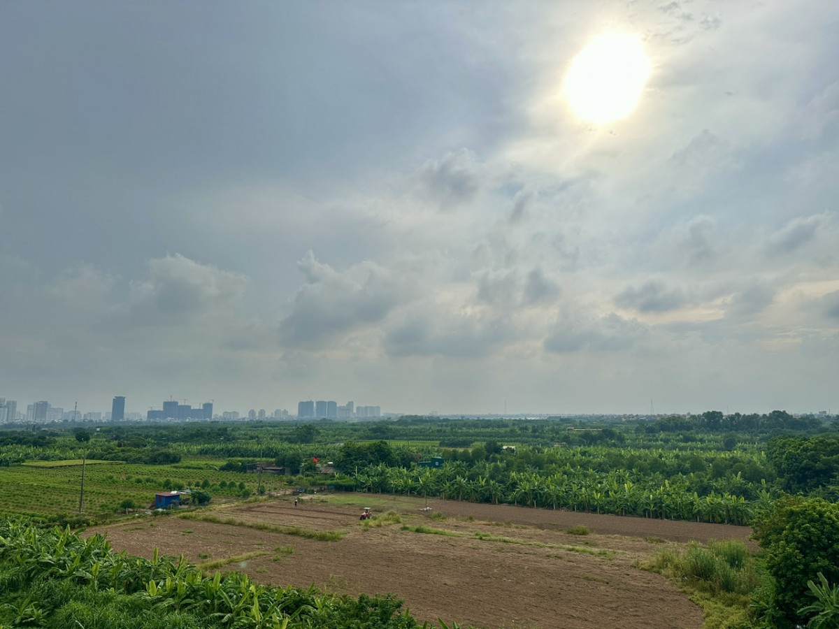 Khai thác hiệu quả đất bãi ven sông: Từ nghị quyết đến thực tiễn địa phương Khai thác hiệu quả đất bãi ven sông: Từ nghị quyết đến thực tiễn địa phương