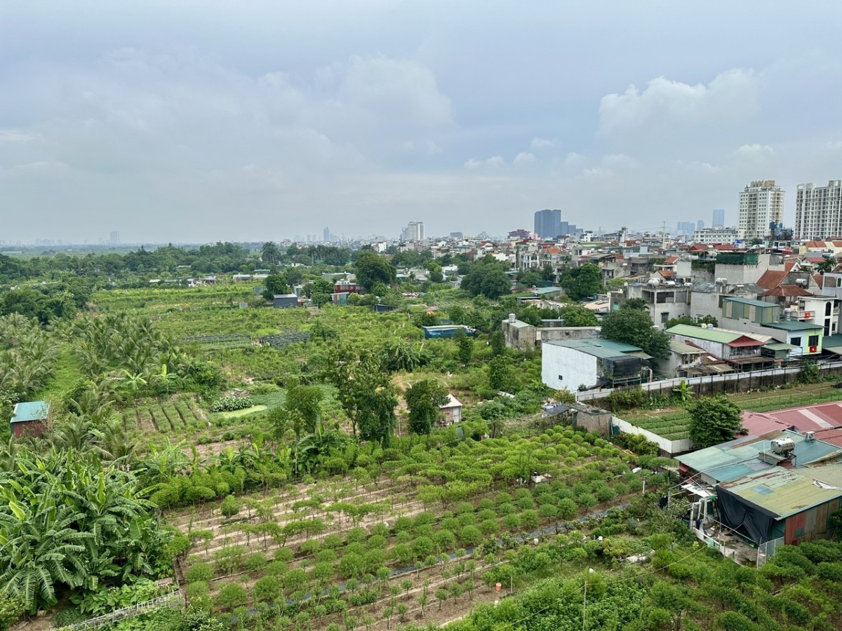 Khai thác hiệu quả đất bãi ven sông: Từ nghị quyết đến thực tiễn địa phương Khai thác hiệu quả đất bãi ven sông: Từ nghị quyết đến thực tiễn địa phương