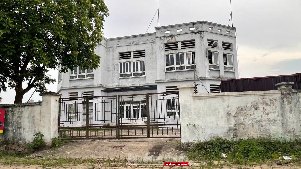 Xót xa thực trạng chợ bỏ hoang ở Hà Nội - Kỳ cuối: Cần lời giải căn cơ từ quy hoạch đến quản lý