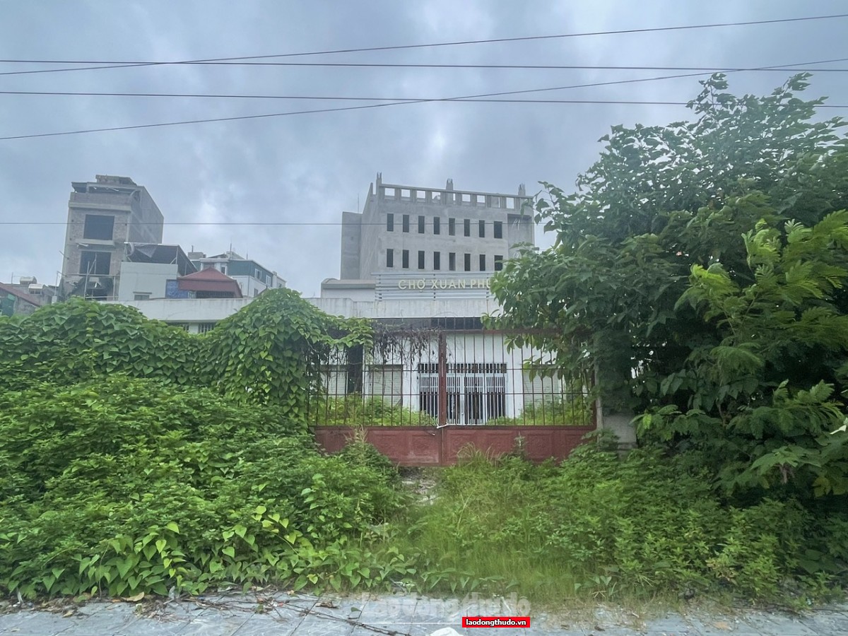 Xót xa thực trạng chợ bỏ hoang ở Hà Nội - Kỳ cuối: Cần lời giải căn cơ từ quy hoạch đến quản lý