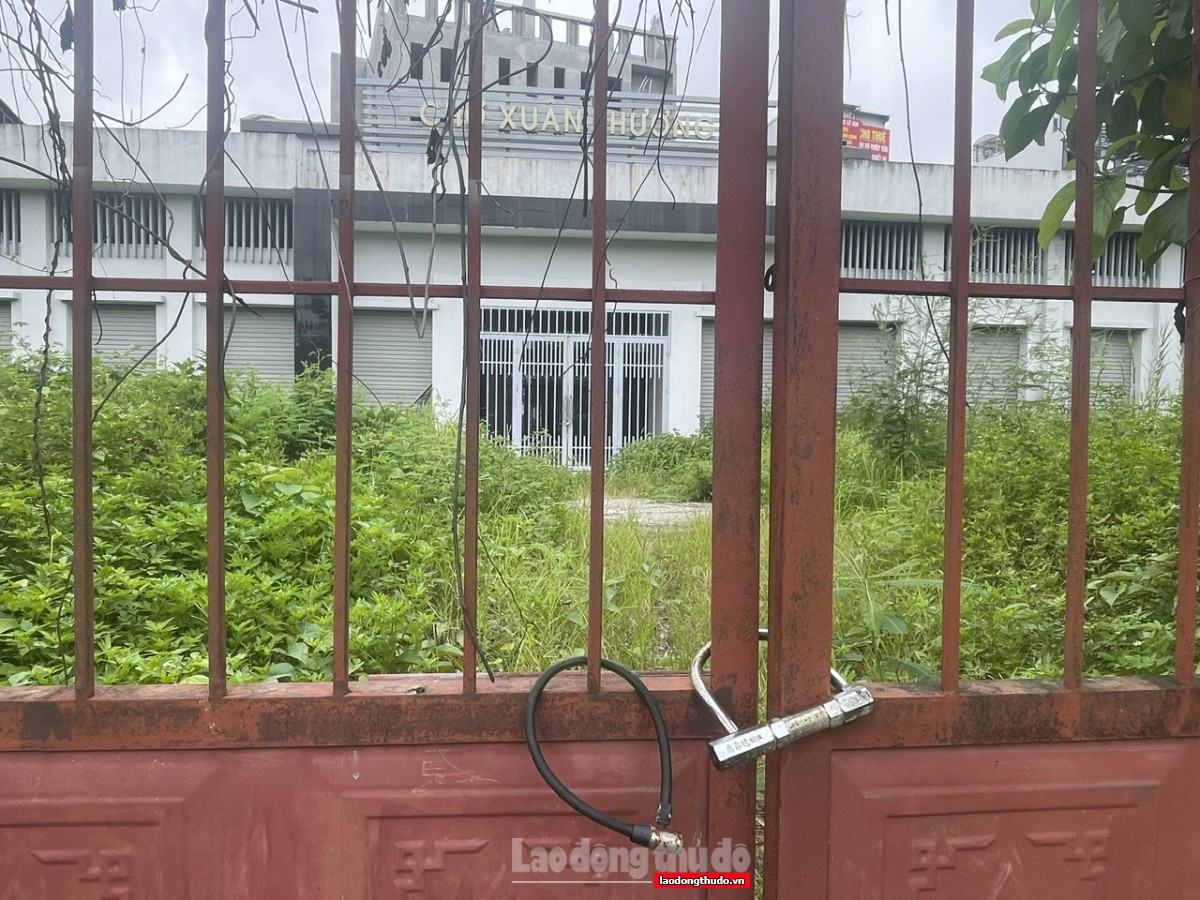 Xót xa thực trạng chợ bỏ hoang ở Hà Nội - Kỳ 1: Chợ dân sinh "vô tư" bỏ hoang giữa lòng Hà Nội