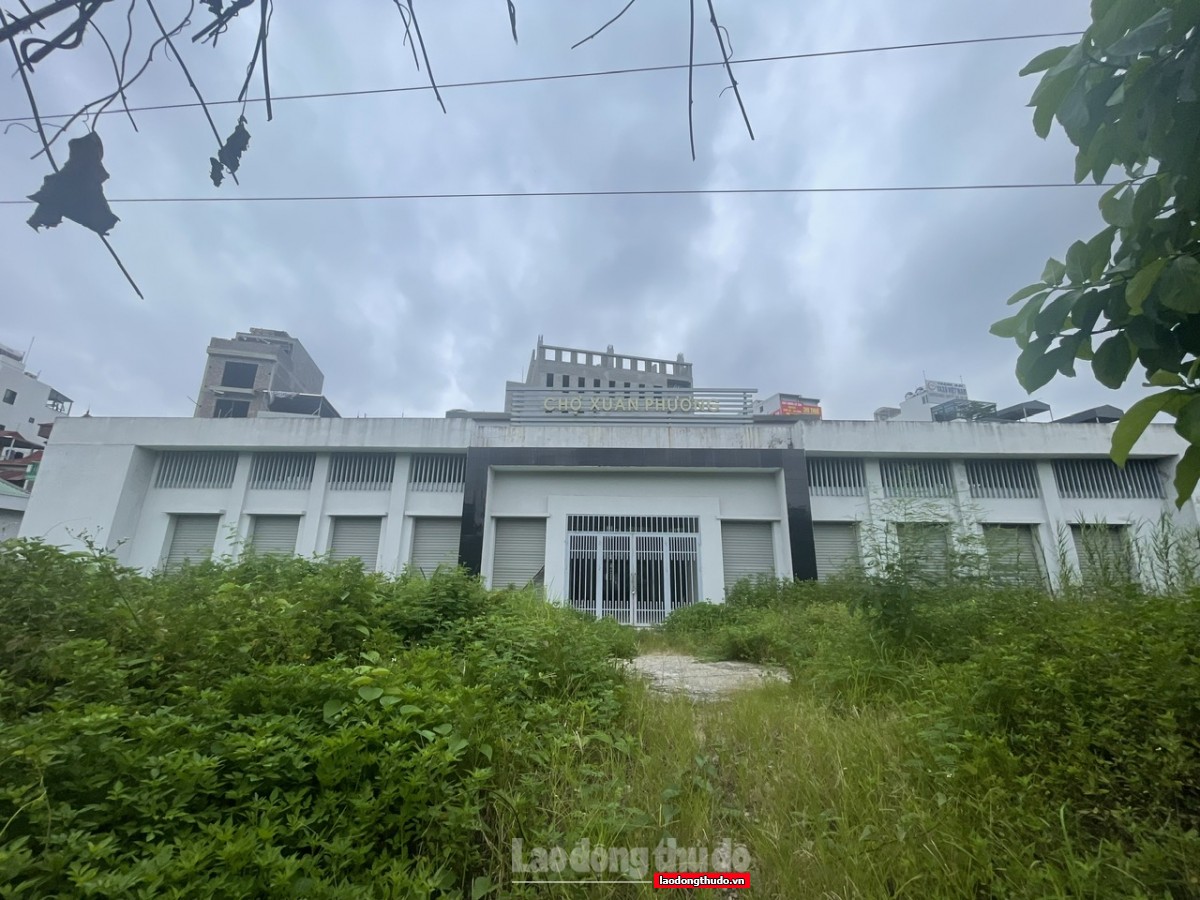 Xót xa thực trạng chợ bỏ hoang ở Hà Nội - Kỳ 1: Chợ dân sinh 