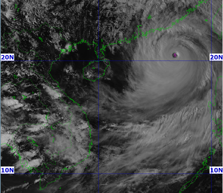Phó Thủ tướng yêu cầu các địa phương chuẩn bị kịch bản, diễn tập ứng phó siêu bão Ragasa