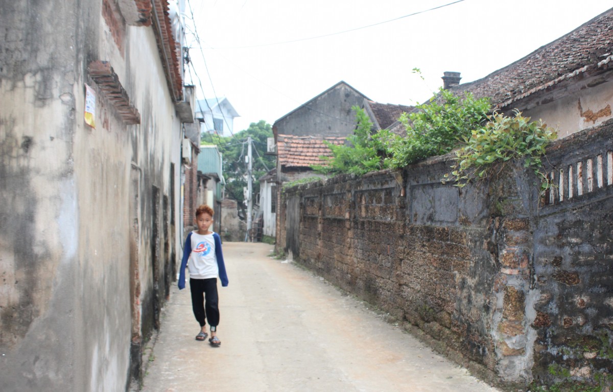 Ký ức phố trong từng lối ngõ