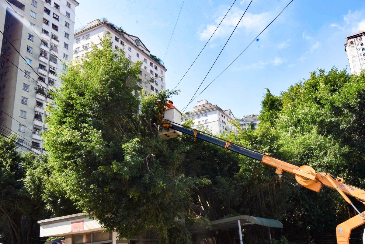 EVNHANOI tăng cường các giải pháp kỹ thuật bảo vệ lưới điện trong mùa mưa bão