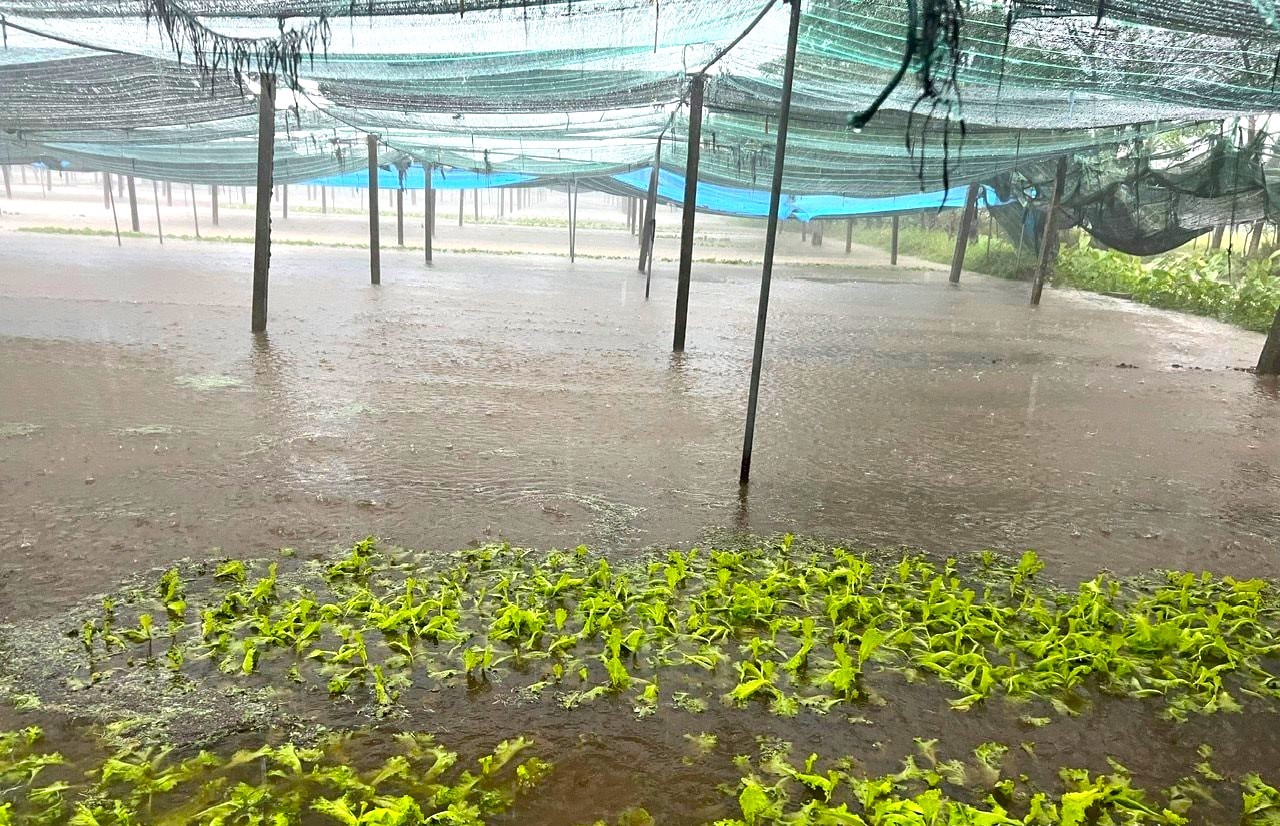 Nghệ An khẩn trương ứng phó với bão số 10