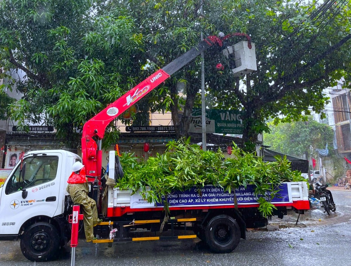 Nghệ An khẩn trương ứng phó với bão số 10