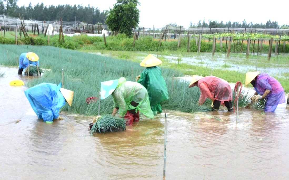 Nghệ An khẩn trương ứng phó với bão số 10