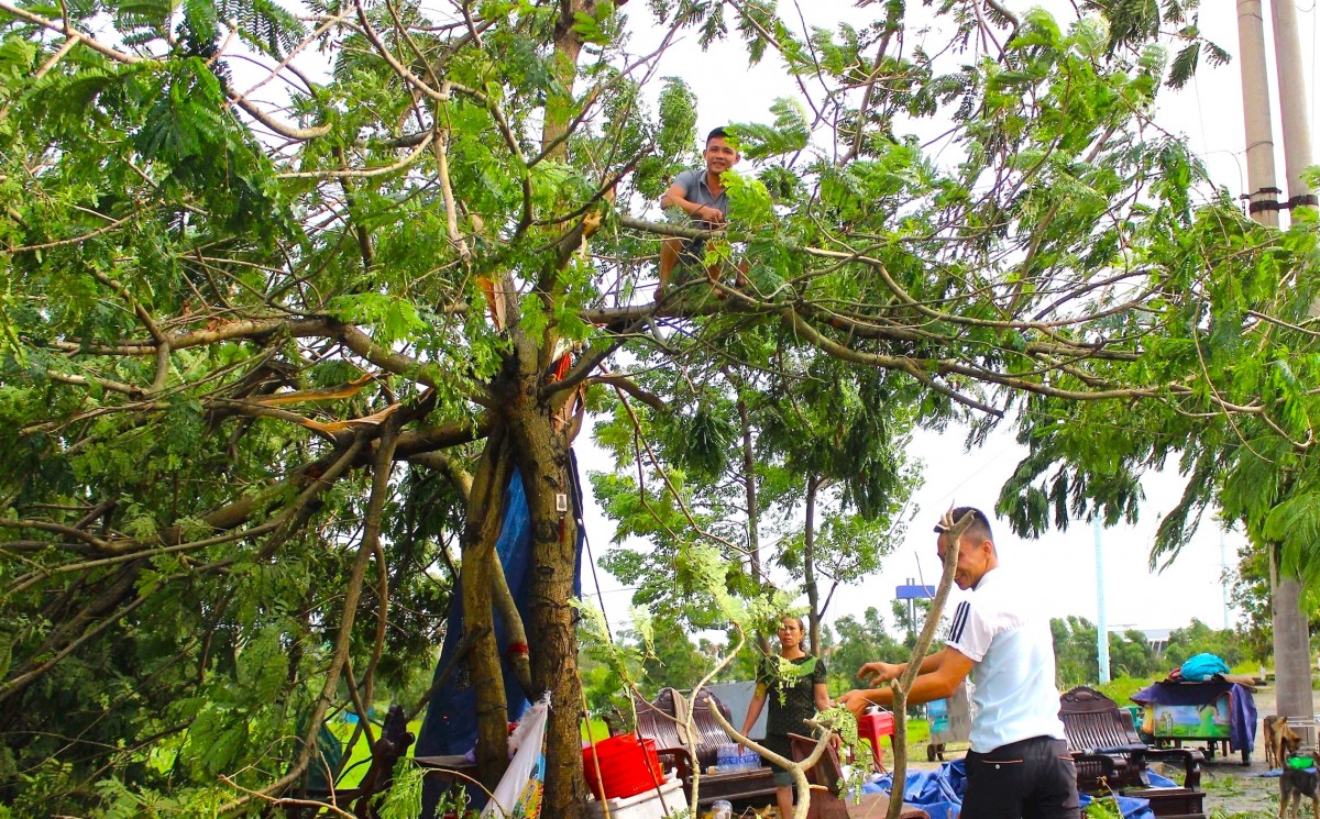 Nghệ An khẩn trương ứng phó với bão số 10
