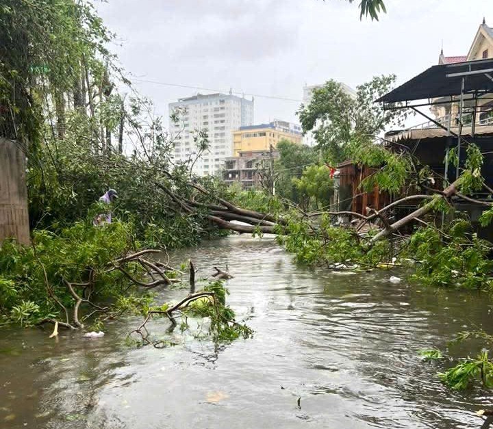 Nghệ An thiệt hại nặng nề sau bão số 10 Nghệ An thiệt hại nặng nề sau bão số 10