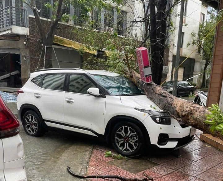 Nghệ An thiệt hại nặng nề sau bão số 10 Nghệ An thiệt hại nặng nề sau bão số 10